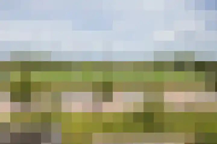 Prins Clausdreef 7 Langbroek thumbnail 43