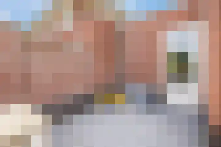 Prins Clausdreef 7 Langbroek thumbnail 45