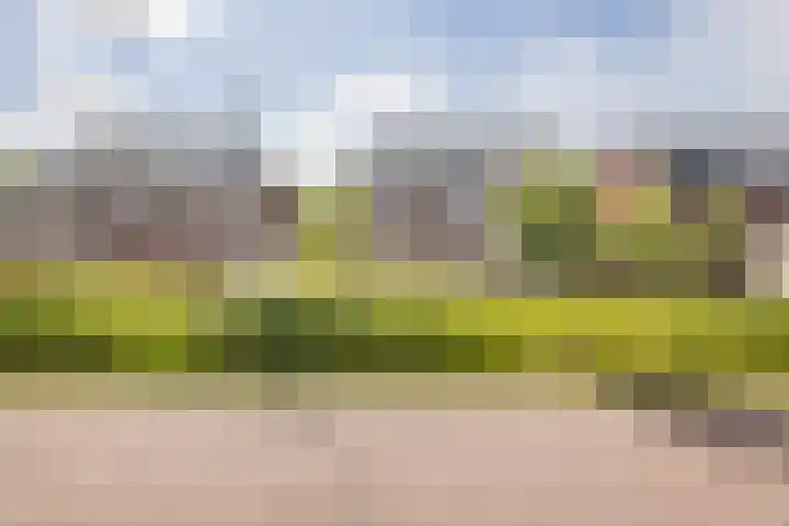 Prins Clausdreef 7 Langbroek thumbnail 51