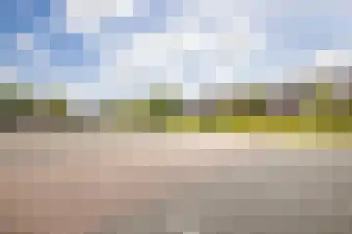 Prins Clausdreef 7 Langbroek thumbnail 52