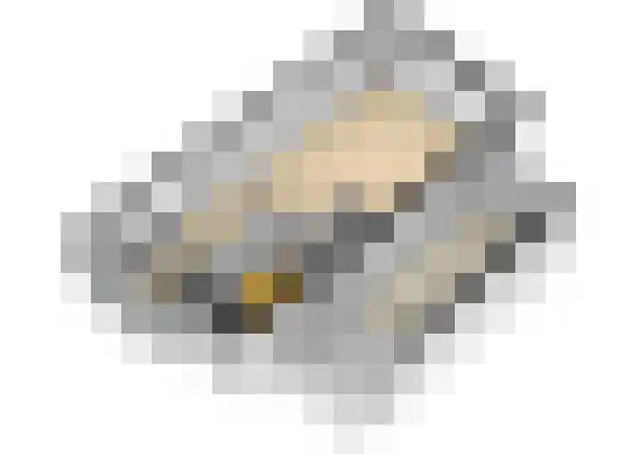 Prins Clausdreef 7 Langbroek thumbnail 57