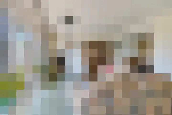 Prins Clauslaan 10 Vorden thumbnail 11