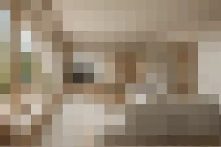 Prins Clauslaan 10 Vorden thumbnail 12