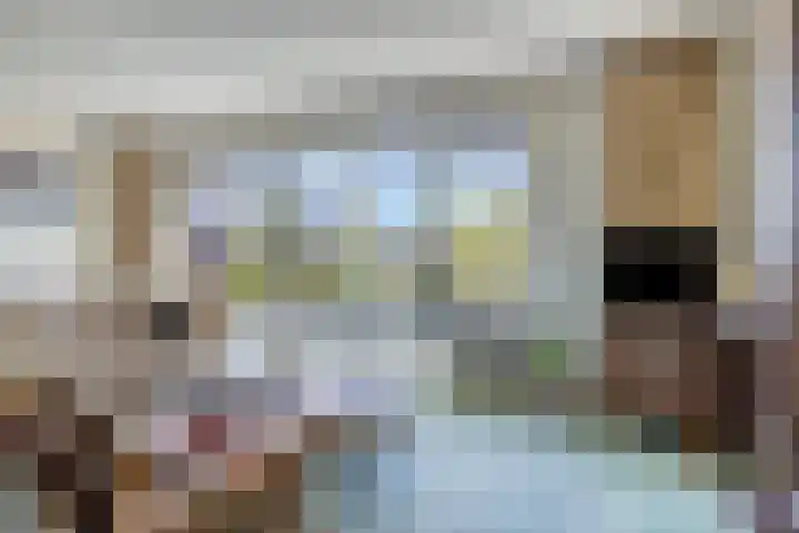 Prins Clauslaan 10 Vorden thumbnail 13