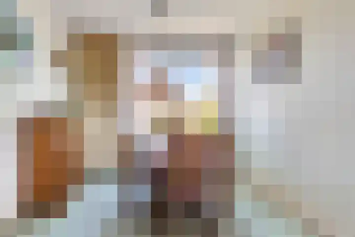Prins Clauslaan 10 Vorden thumbnail 14