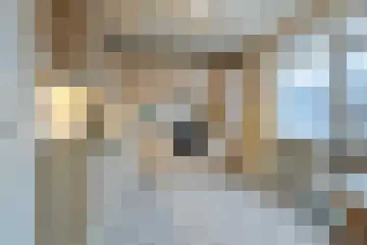 Prins Clauslaan 10 Vorden thumbnail 17