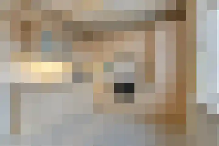 Prins Clauslaan 10 Vorden thumbnail 18