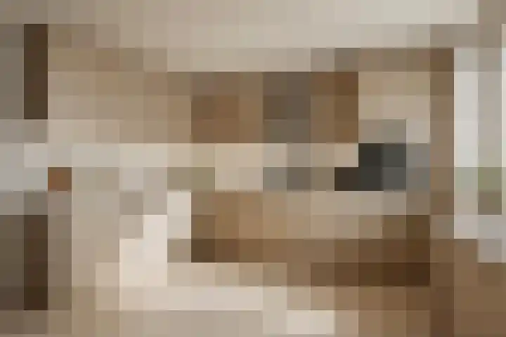 Prins Clauslaan 10 Vorden thumbnail 19