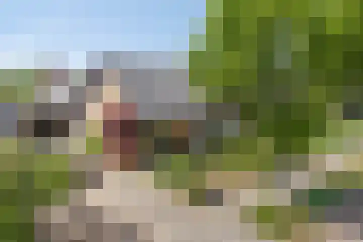 Prins Clauslaan 10 Vorden foto 2