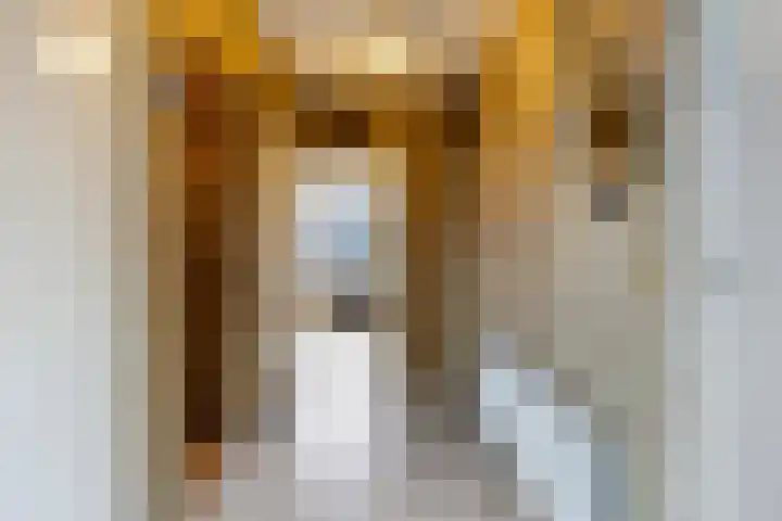 Prins Clauslaan 10 Vorden thumbnail 21