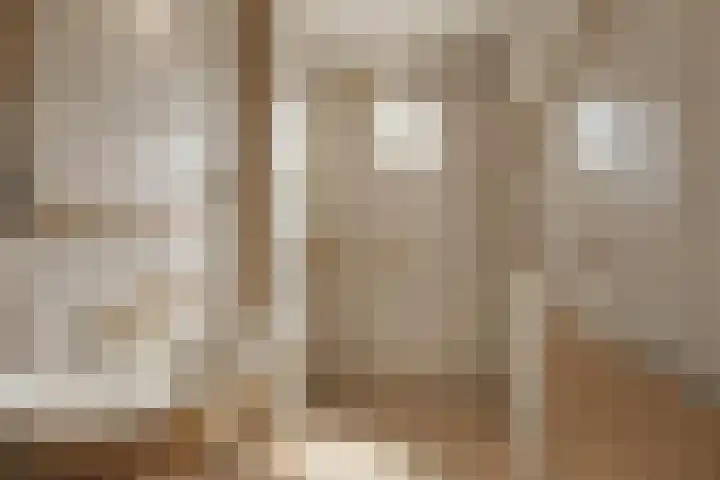 Prins Clauslaan 10 Vorden thumbnail 23