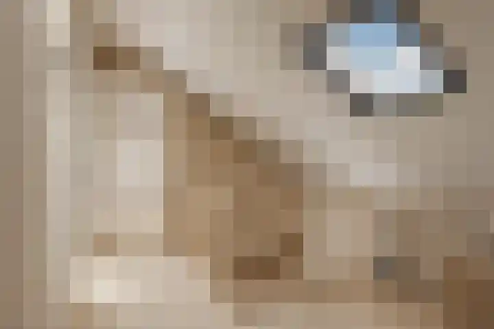 Prins Clauslaan 10 Vorden thumbnail 30
