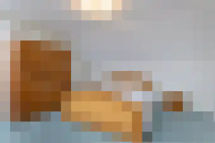 Prins Clauslaan 10 Vorden thumbnail 37