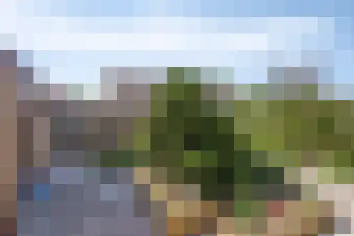 Prins Clauslaan 10 Vorden thumbnail 39