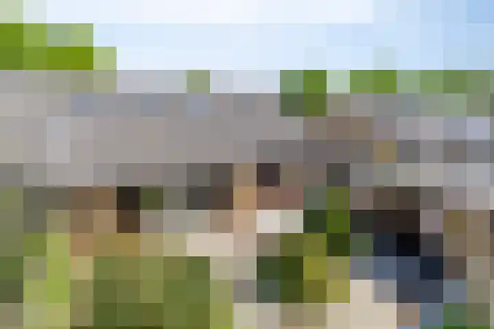 Prins Clauslaan 10 Vorden thumbnail 40
