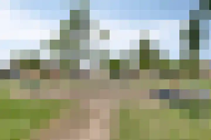 Prins Clauslaan 10 Vorden thumbnail 43