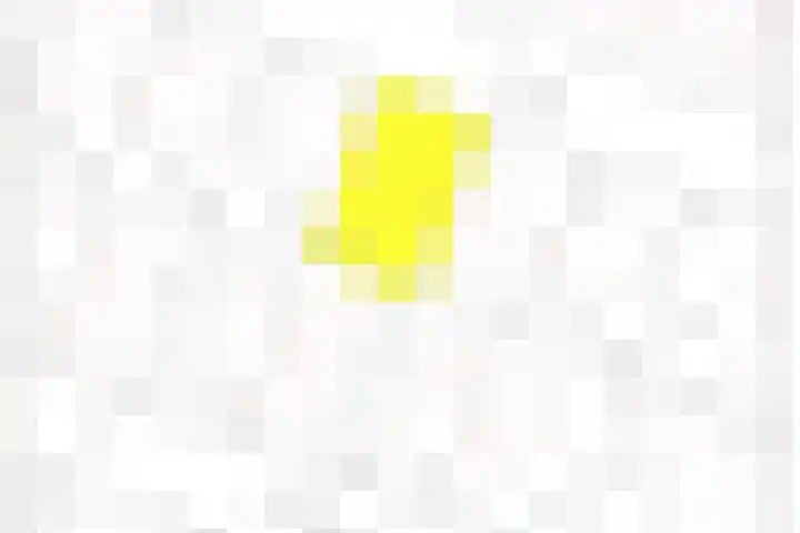 Prins Clauslaan 10 Vorden thumbnail 50