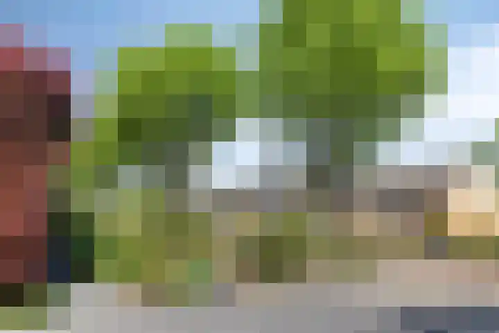Prins Clauslaan 10 Vorden thumbnail 7