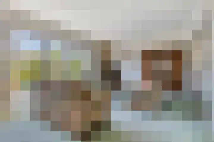Prins Clauslaan 10 Vorden thumbnail 9