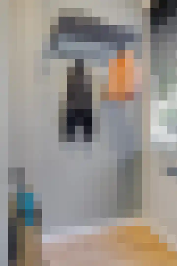 Prins Clauslaan 14 Best thumbnail 10
