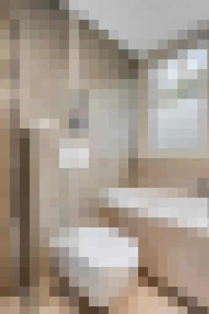 Prins Clauslaan 14 Best thumbnail 29