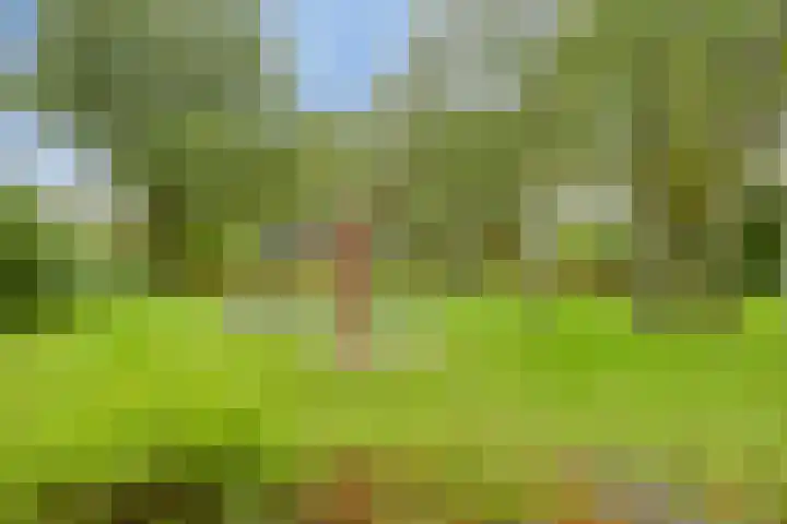 Prins Clauslaan 14 Best thumbnail 37