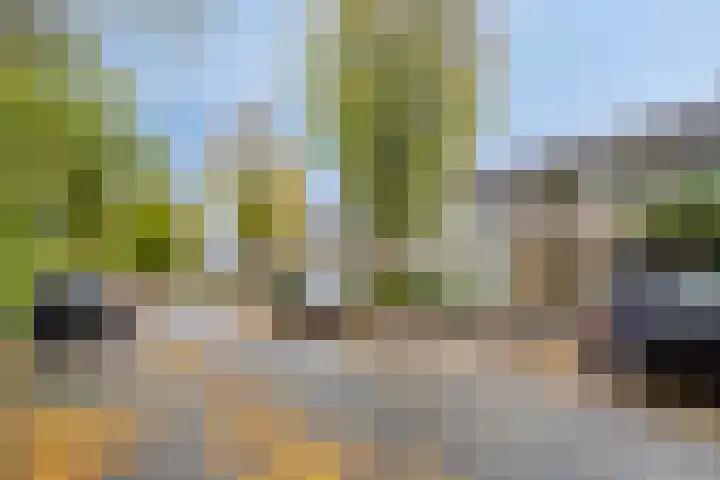 Prins Clauslaan 14 Best thumbnail 7