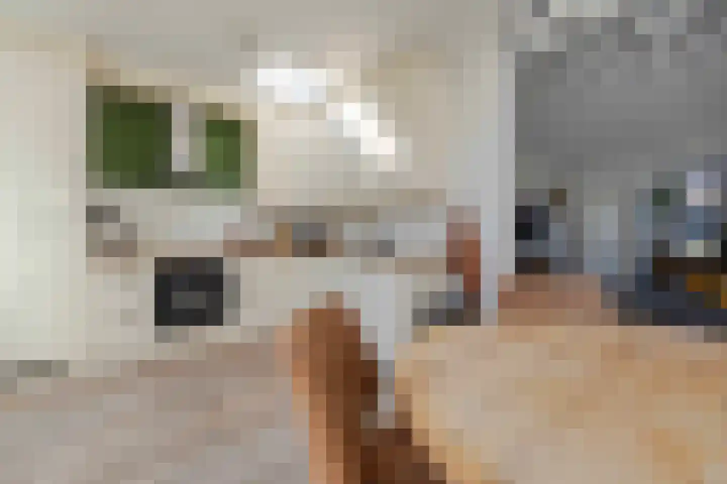 Prins Clauslaan 15 a Bunde thumbnail 11