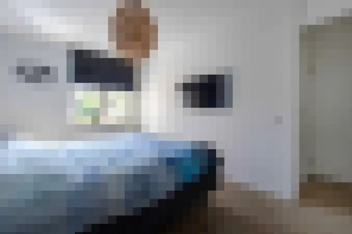 Prins Clauslaan 15 a Bunde thumbnail 20