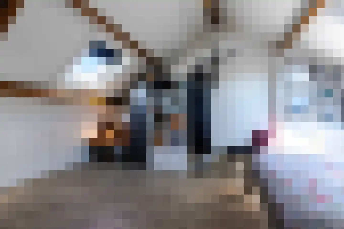 Prins Clauslaan 15 a Bunde thumbnail 25
