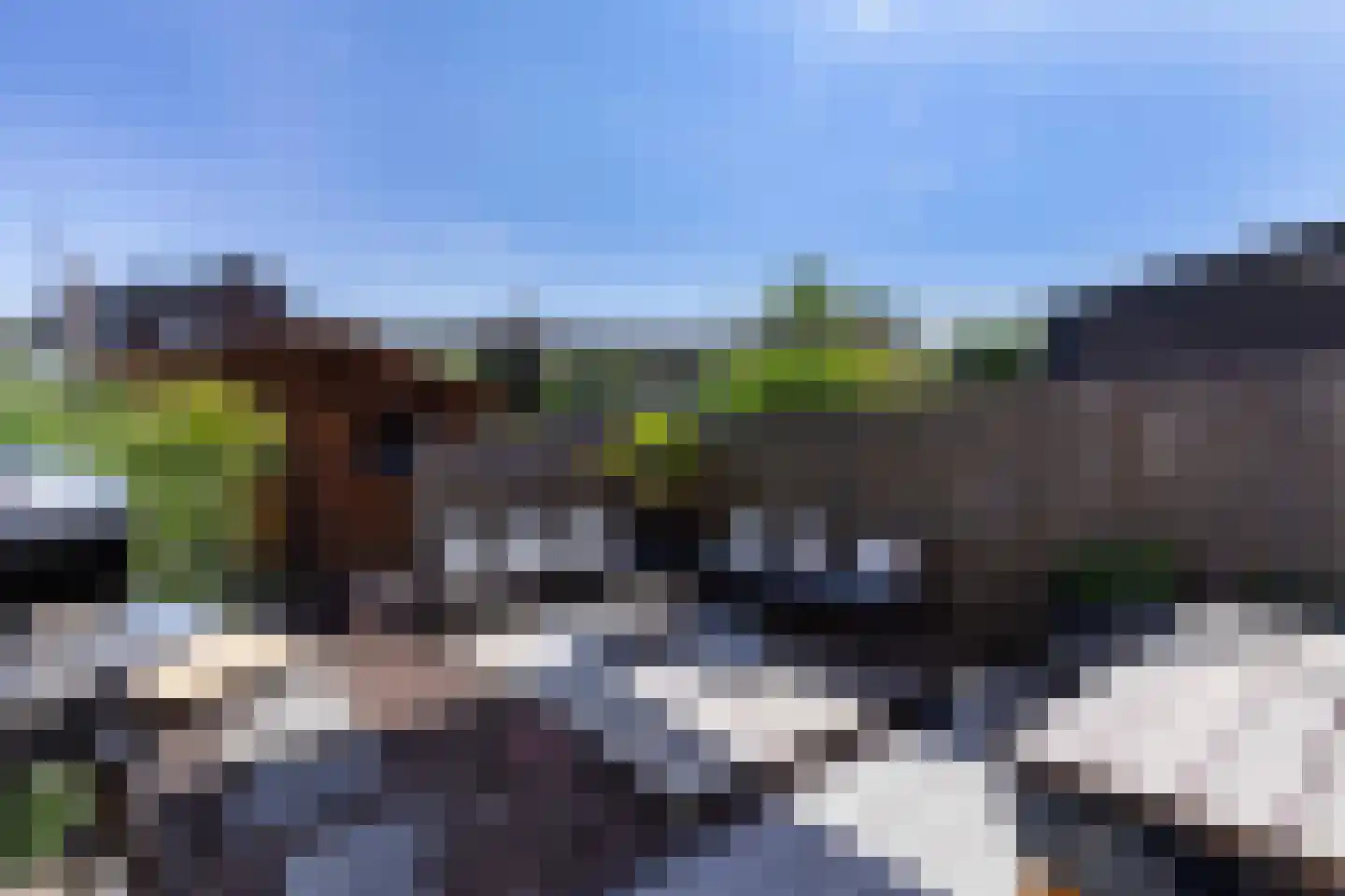 Prins Clauslaan 15 a Bunde thumbnail 29