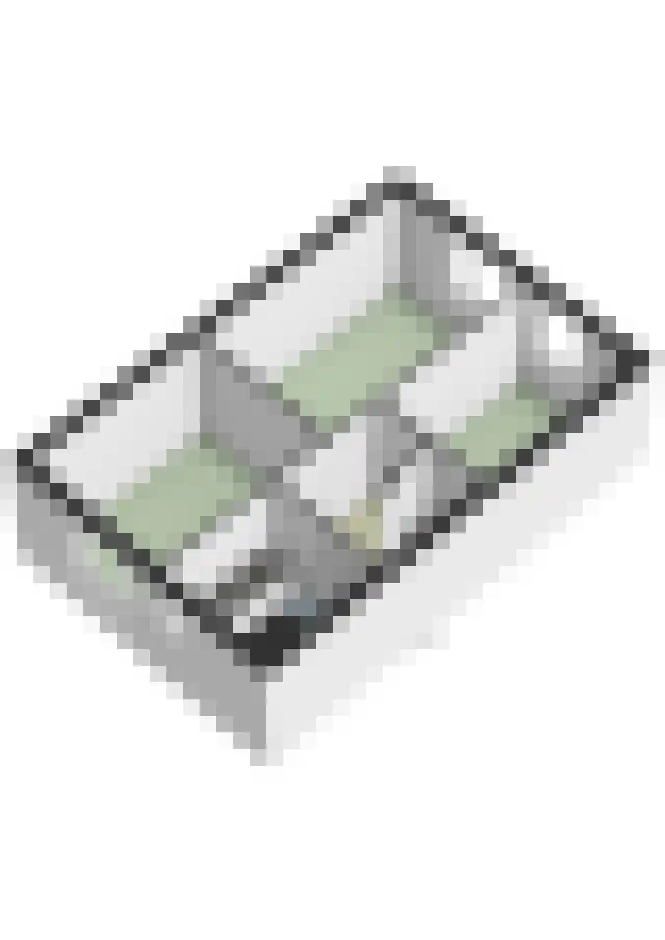 Prins Clauslaan 15 a Bunde thumbnail 38