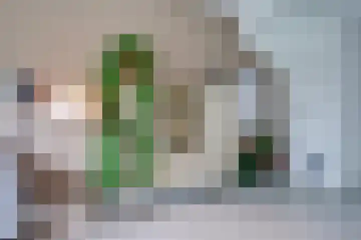 Prins Clauslaan 19 Julianadorp thumbnail 12