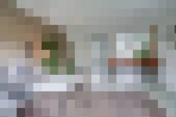 Prins Clauslaan 19 Julianadorp thumbnail 14