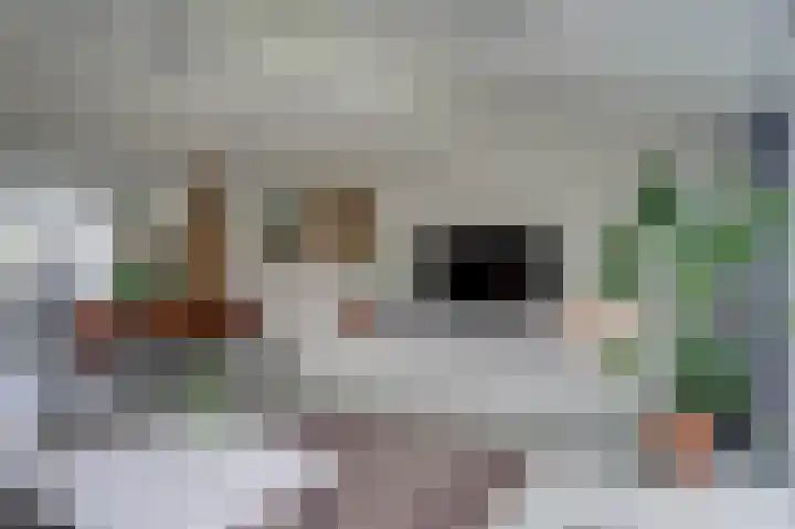 Prins Clauslaan 19 Julianadorp thumbnail 15