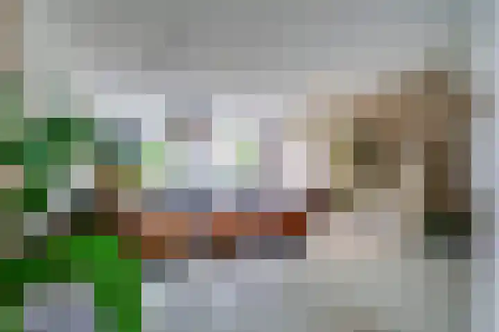 Prins Clauslaan 19 Julianadorp thumbnail 16