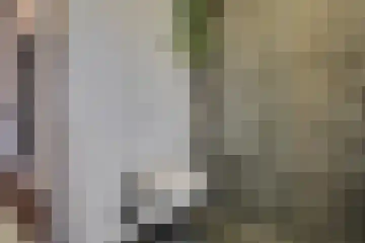Prins Clauslaan 19 Julianadorp thumbnail 35