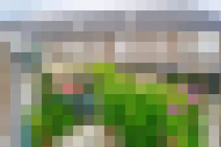 Prins Clauslaan 19 Julianadorp thumbnail 38