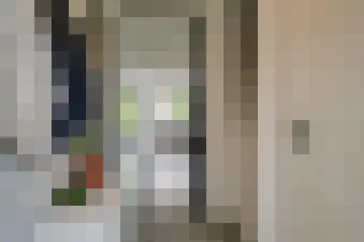 Prins Clauslaan 19 Julianadorp thumbnail 8