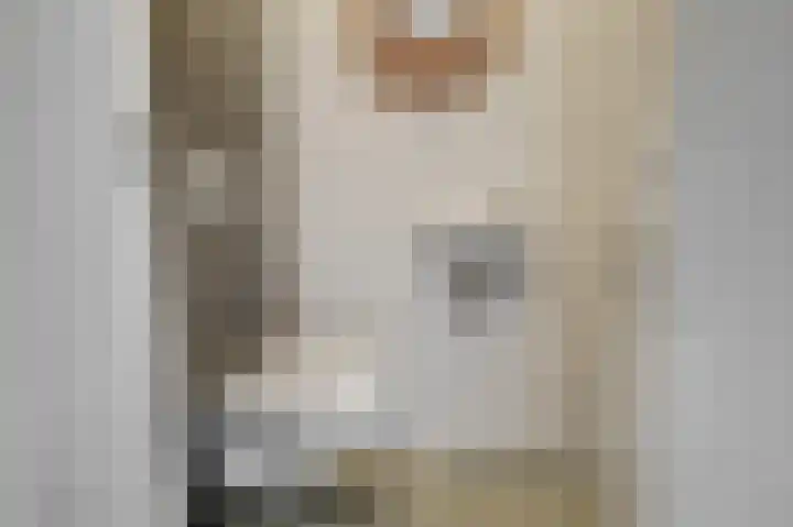 Prins Clauslaan 19 Julianadorp thumbnail 9