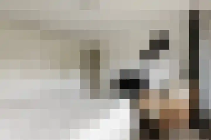 Prins Clauslaan 2 Lochem thumbnail 26