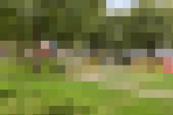 Prins Clauslaan 2 Lochem thumbnail 31