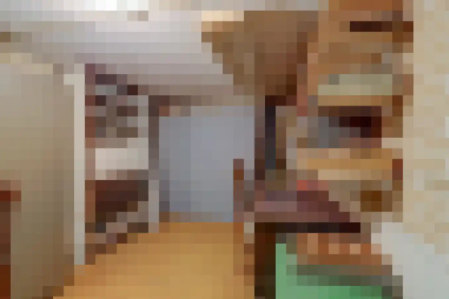 Prins Clauslaan 20 Lochem thumbnail 4