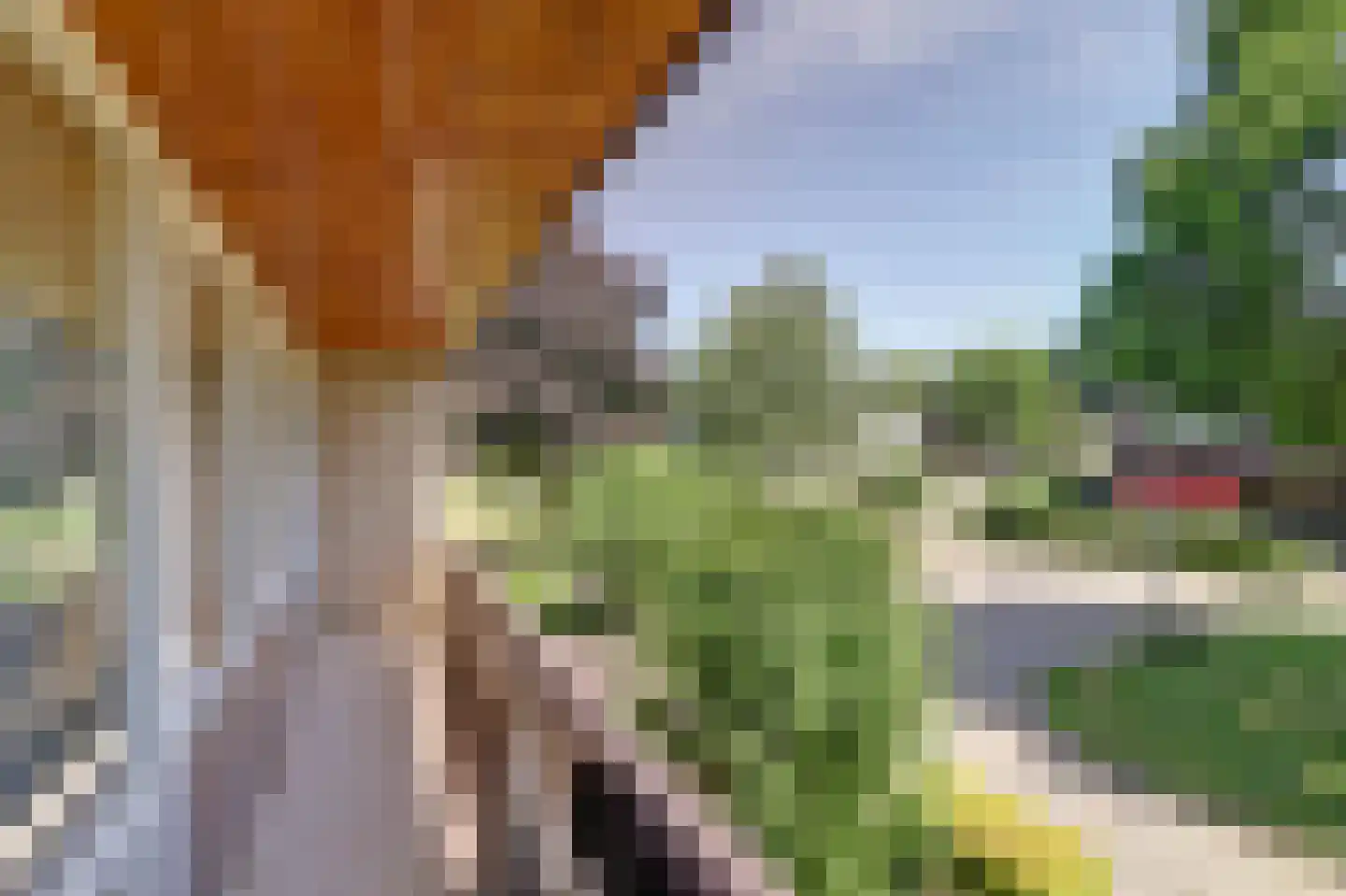 Prins Clauslaan 20 Lochem thumbnail 18