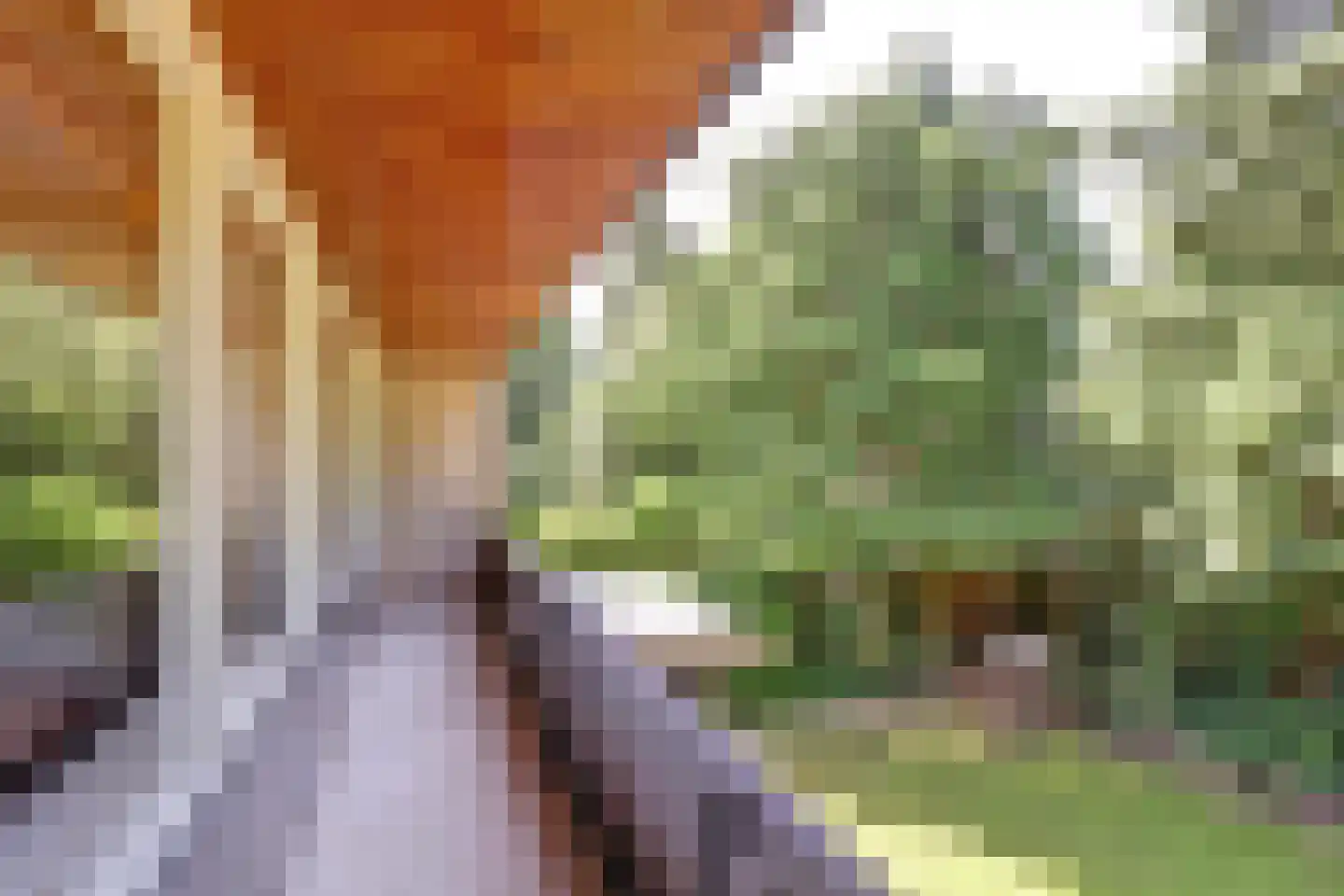 Prins Clauslaan 20 Lochem thumbnail 21
