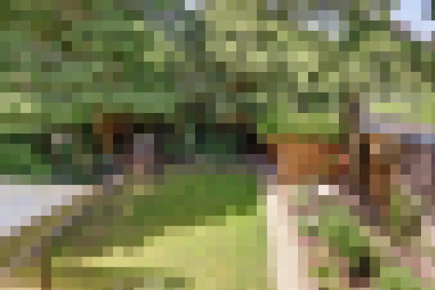 Prins Clauslaan 20 Lochem thumbnail 24