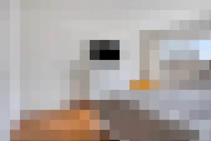 Prins Clauslaan 25 Bunde thumbnail 20