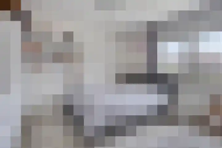 Prins Clauslaan 25 Bunde thumbnail 23