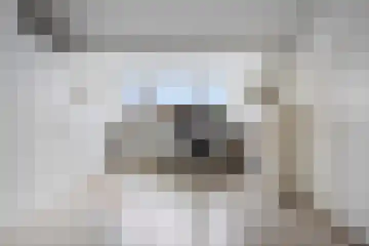 Prins Clauslaan 25 Bunde thumbnail 26