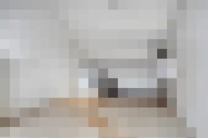 Prins Clauslaan 25 Bunde thumbnail 27